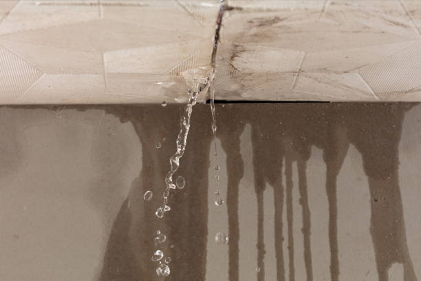 Professional Flood Damage Cleanup technician working in Coalmont, TN